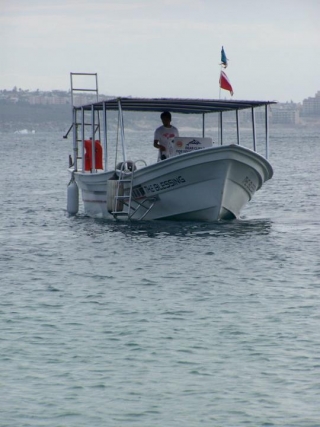  Excursions en bateau 
